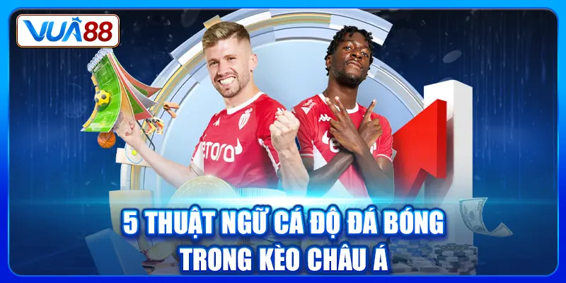 5 thuật ngữ cá độ đá bóng trong kèo châu Á