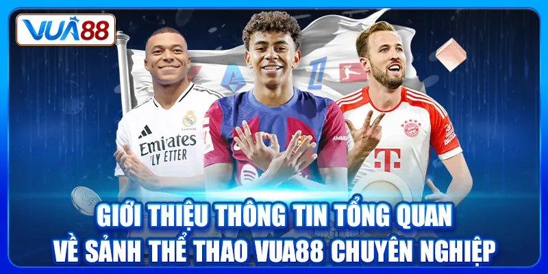 Giới thiệu thông tin tổng quan về sảnh thể thao Vua88 chuyên nghiệp
