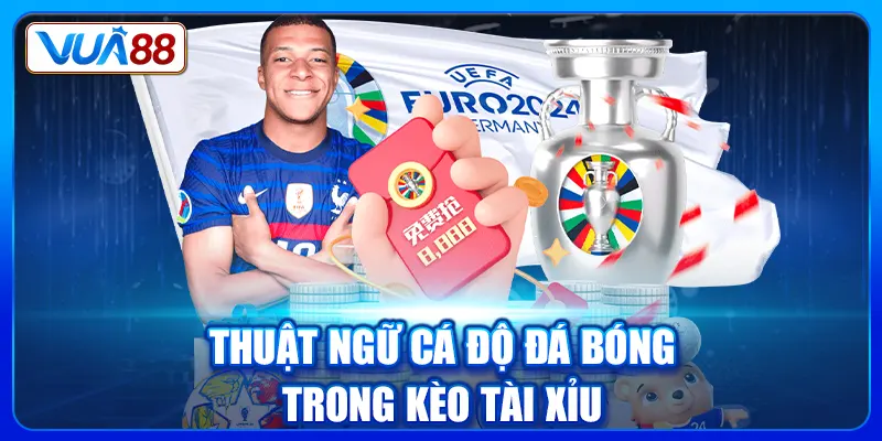 Thuật ngữ cá độ đá bóng trong kèo tài xỉu