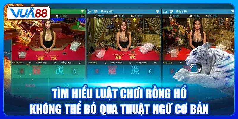Tìm hiểu luật chơi Rồng Hổ không thể bỏ qua thuật ngữ cơ bản